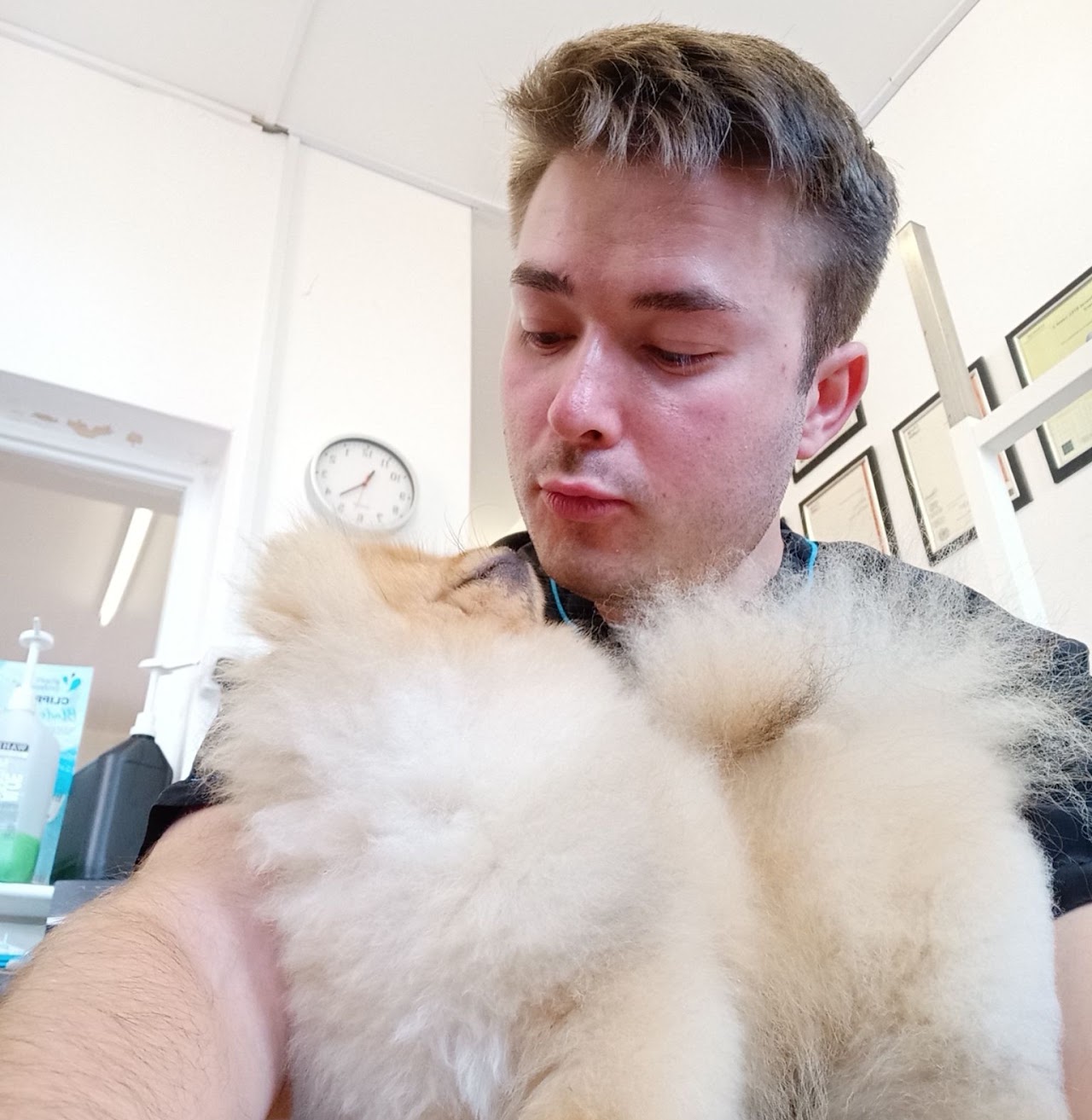 Tim Holland holding a freshly groomed Pomeranian at his Eastbourne salon