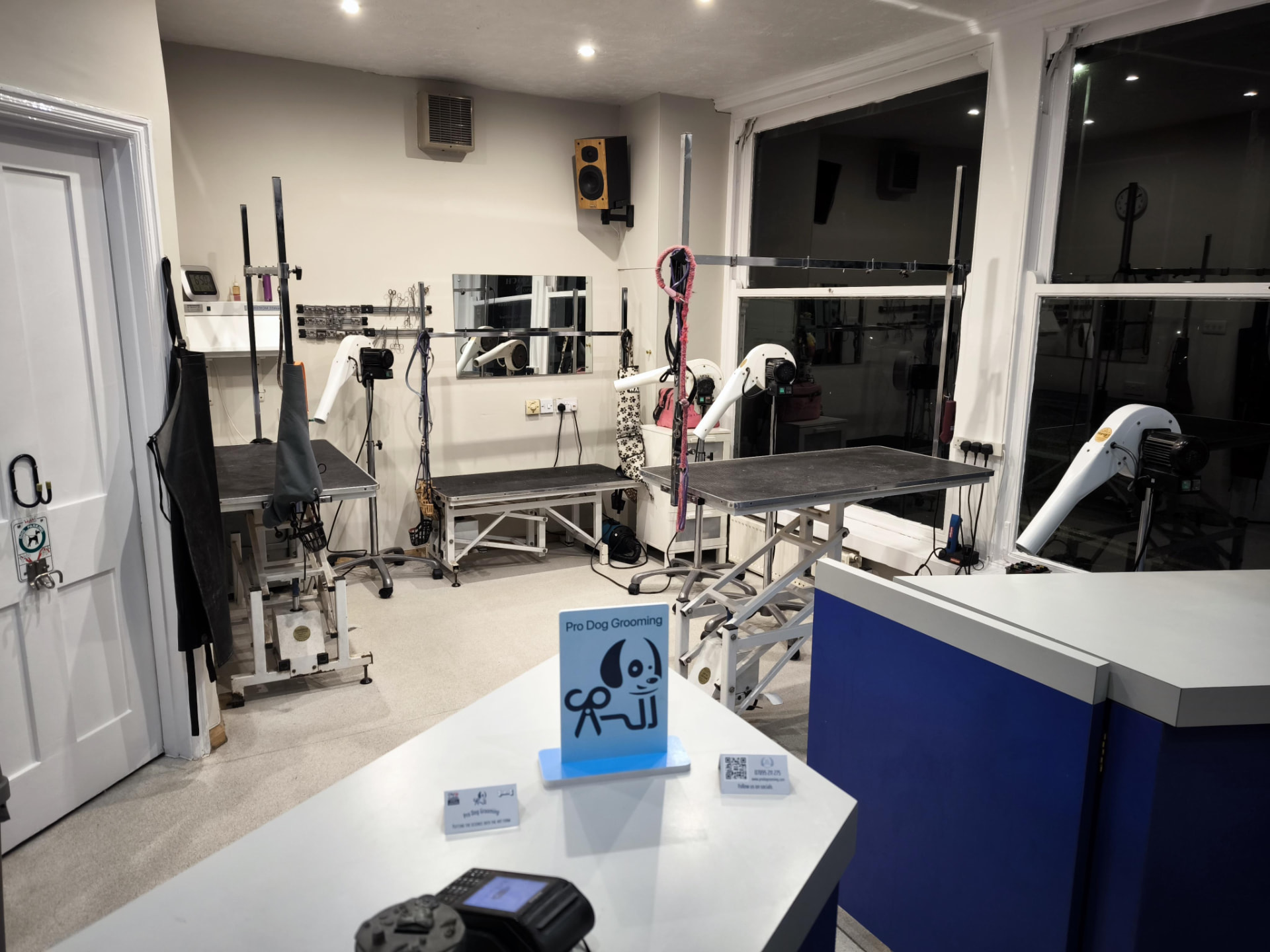 Inside the Pro Dog Grooming salon on Firle Road, Eastbourne, showing the grooming stations