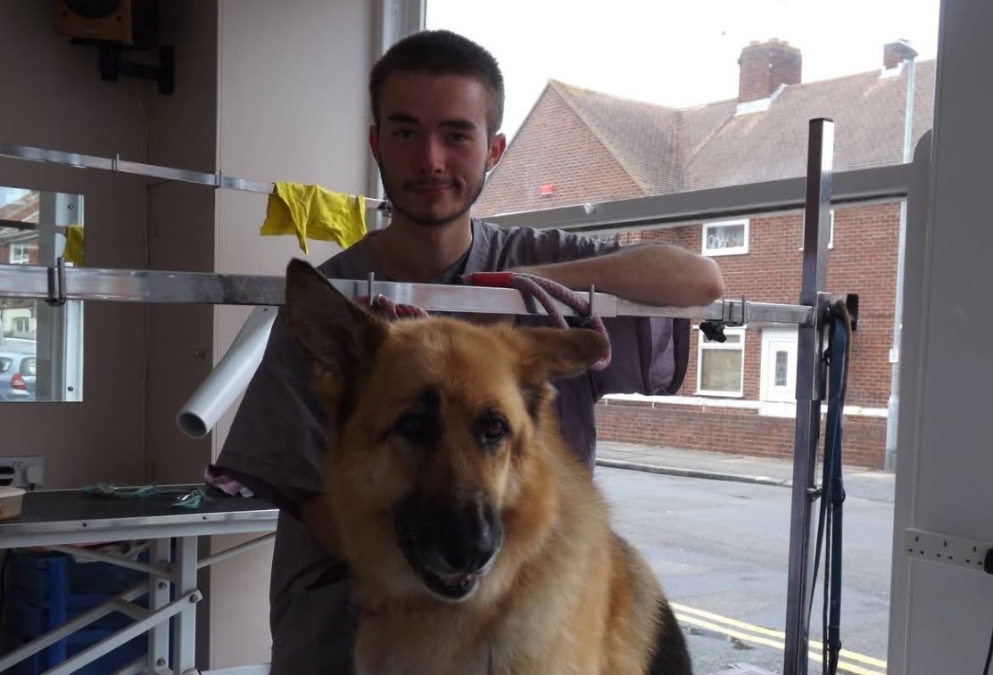 Tim grooming a German Shepherd early in his career